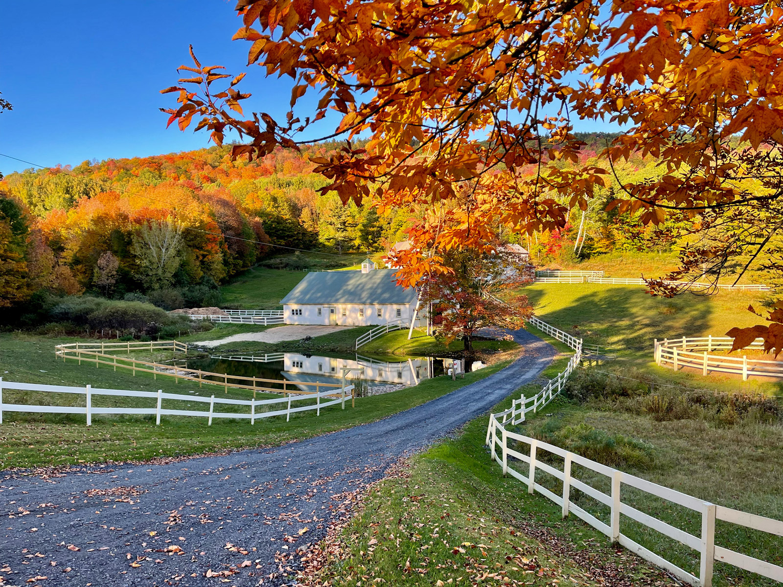 Autumn at Imagination Farm in Bethel, VT