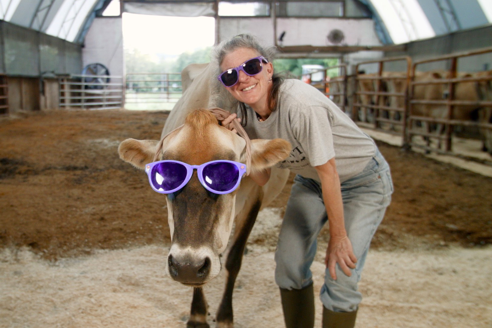 Jersey Girls' Dairy star, Dolly, hams it up with owner, Lisa Kaiman