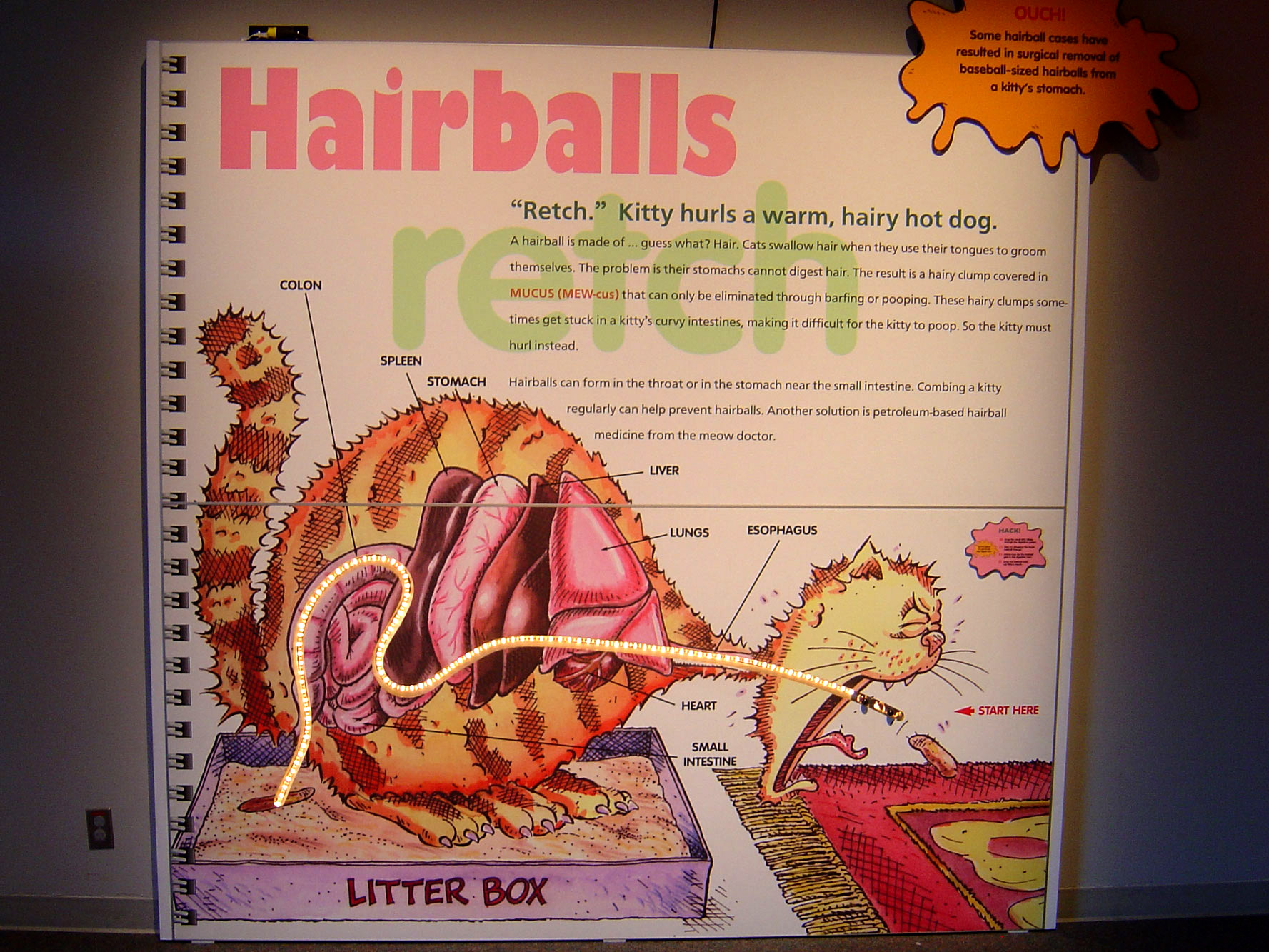 Animal Grossology exhibit - Hairballs